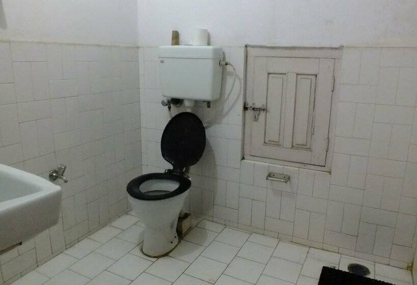 اتاق استاندارد, Dolphin