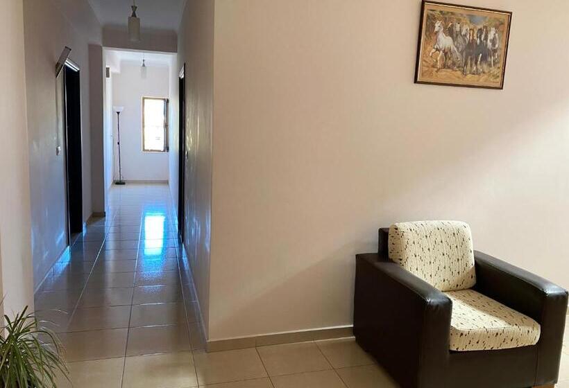 إستديو قياسى مزود بشرفة, Metali