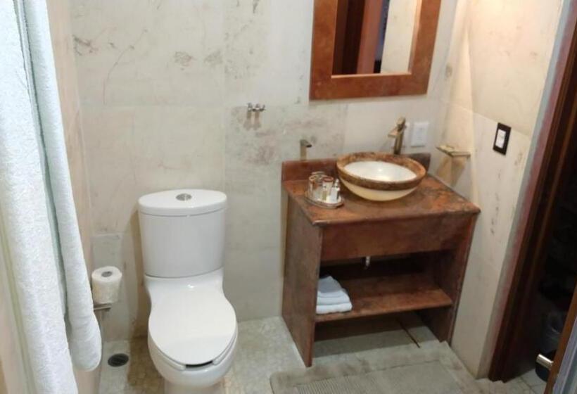 سوئیت جونیور با چشمانداز باغ, Siglo Xvii Art Gallery