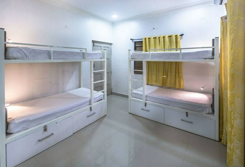 共用房间的床, Moustache Goa Cowork Hostel