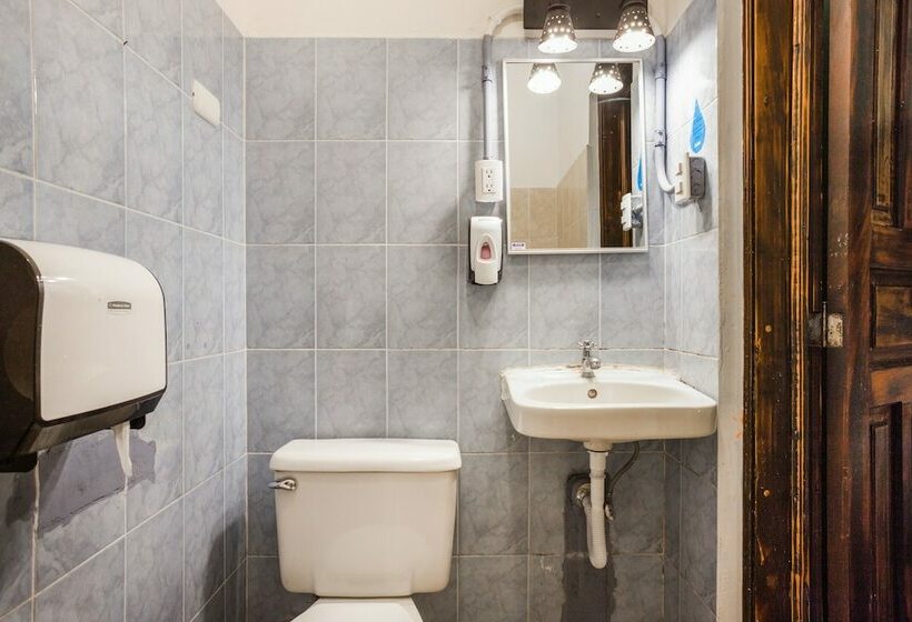 اتاق استاندارد, Socialtel Antigua Formerly Selina Antigua