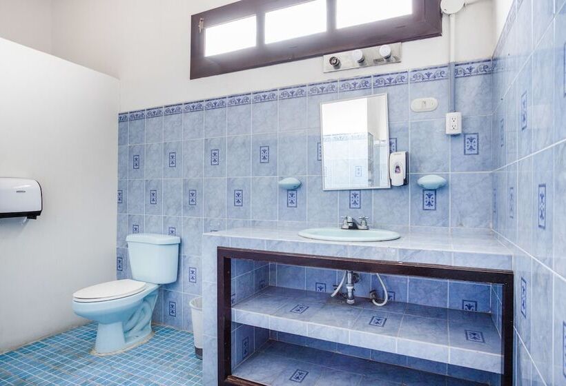 تختخواب در اتاق مشترک, Socialtel Antigua Formerly Selina Antigua