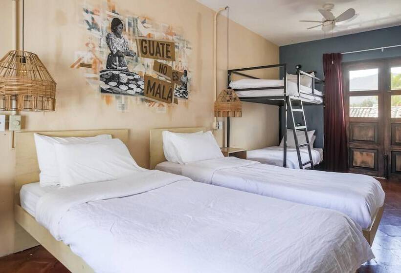 تختخواب در اتاق مشترک, Socialtel Antigua Formerly Selina Antigua