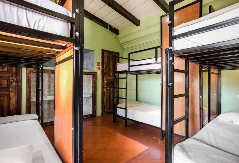 تختخواب در اتاق مشترک, Socialtel Antigua Formerly Selina Antigua