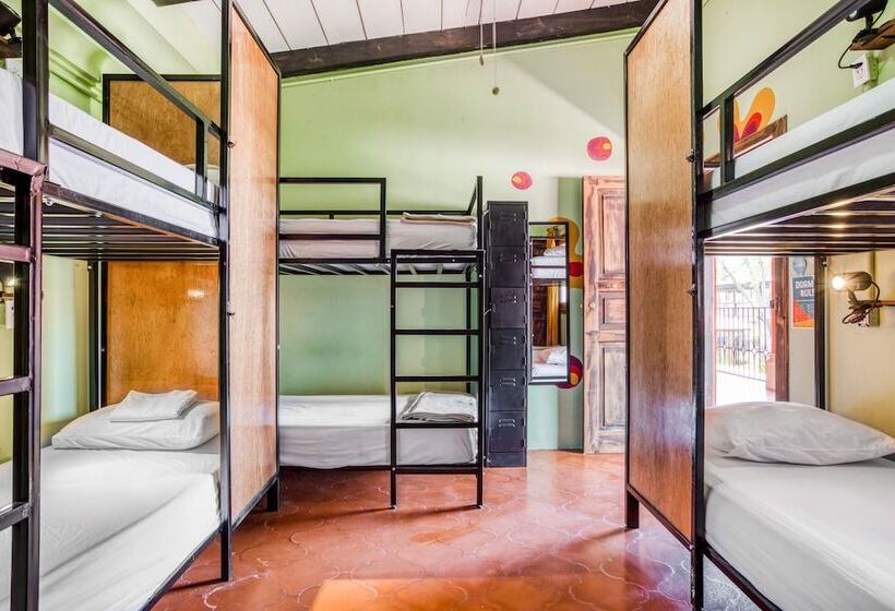 تختخواب در اتاق مشترک, Socialtel Antigua Formerly Selina Antigua