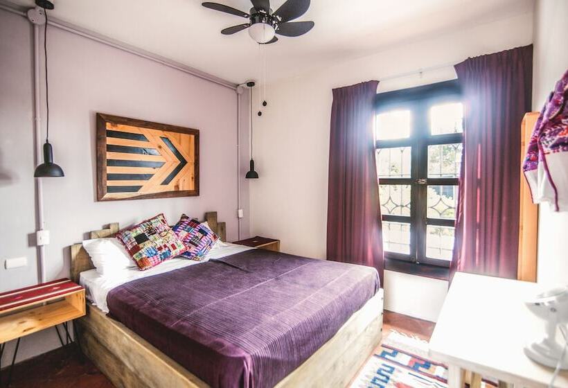 اتاق استاندارد, Socialtel Antigua Formerly Selina Antigua