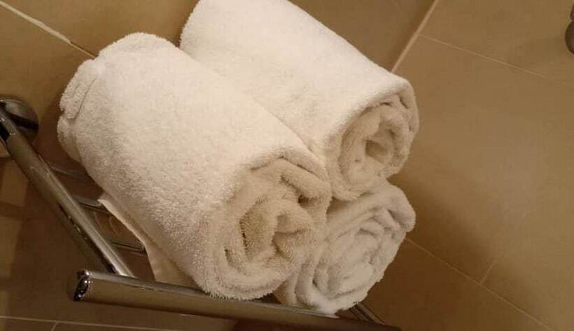 سوئیت ریاست جمهوری 2 خوابه, Bristol Palace