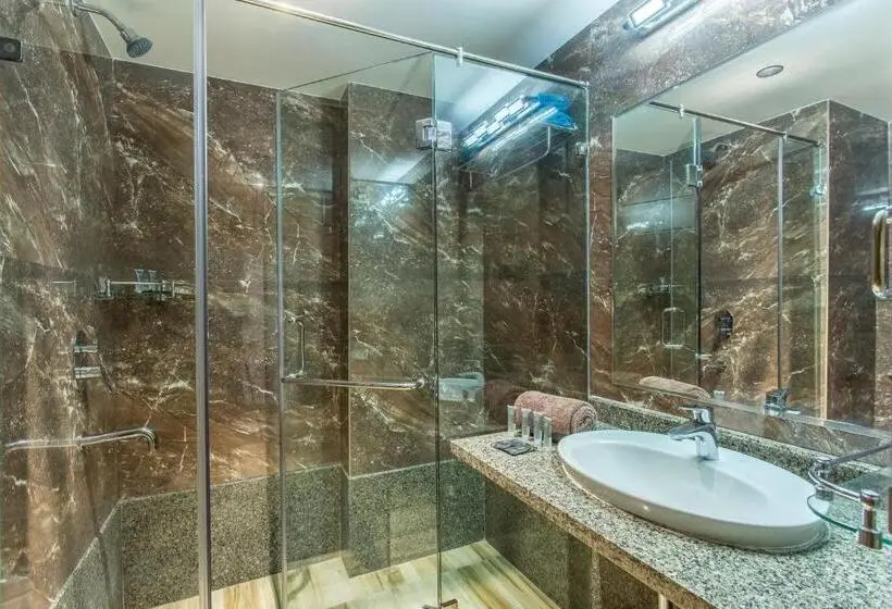 キングサイズベッドのスーペリアルーム, Abika Elite