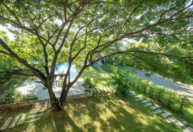 غرفة سوبيريور, Pippali Boutique