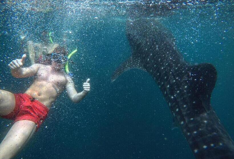 اتاق استاندارد با چشمانداز استخر, Higala Resort