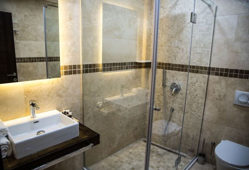 اتاق سوپریور, Salina