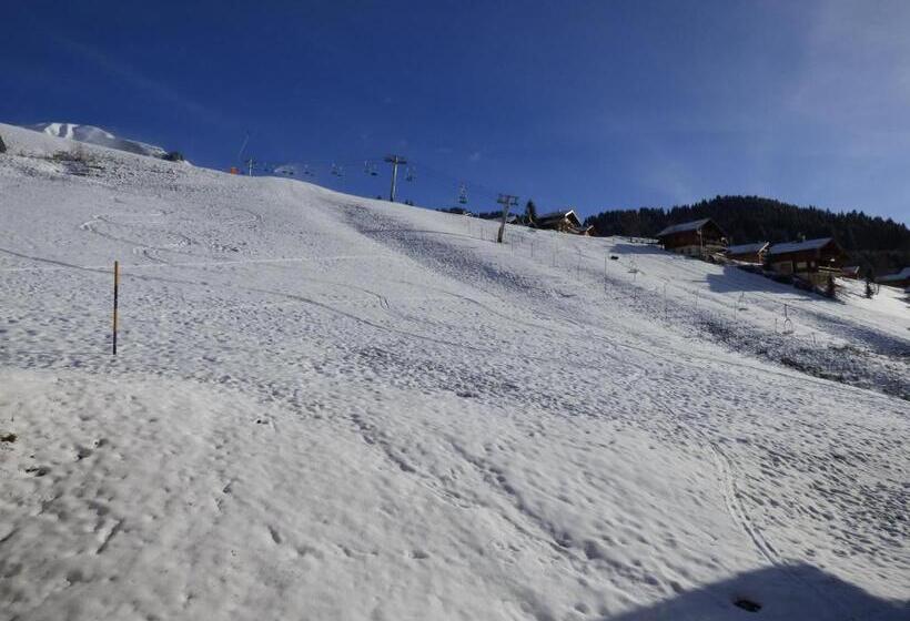 اتاق استاندارد سه نفره, Les Flocons