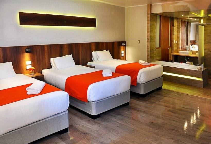 스탠다드 트리플 룸, Polo Corporativo San Sebastian