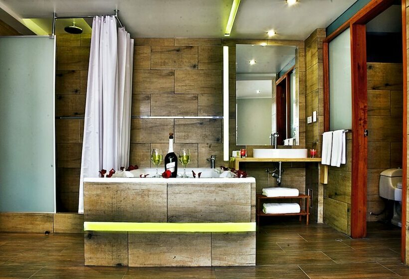 스탠다드 싱글 룸, Polo Corporativo San Sebastian