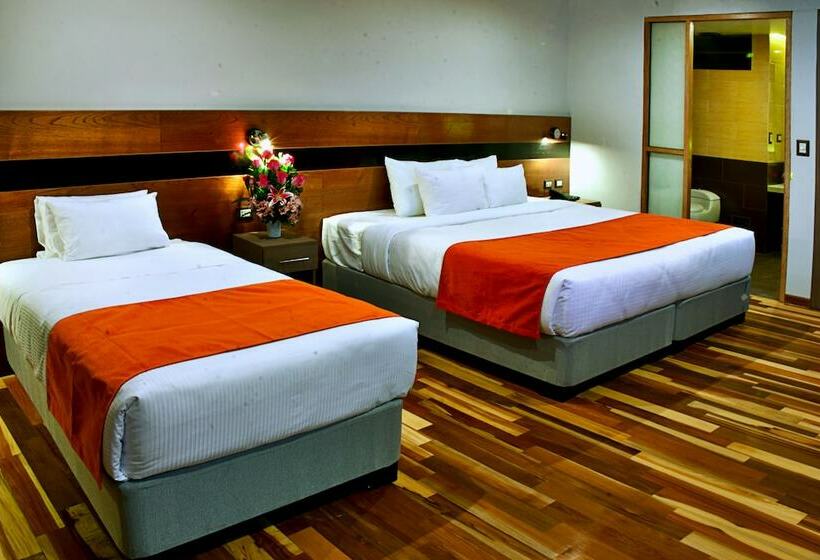 스탠다드 룸, Polo Corporativo San Sebastian