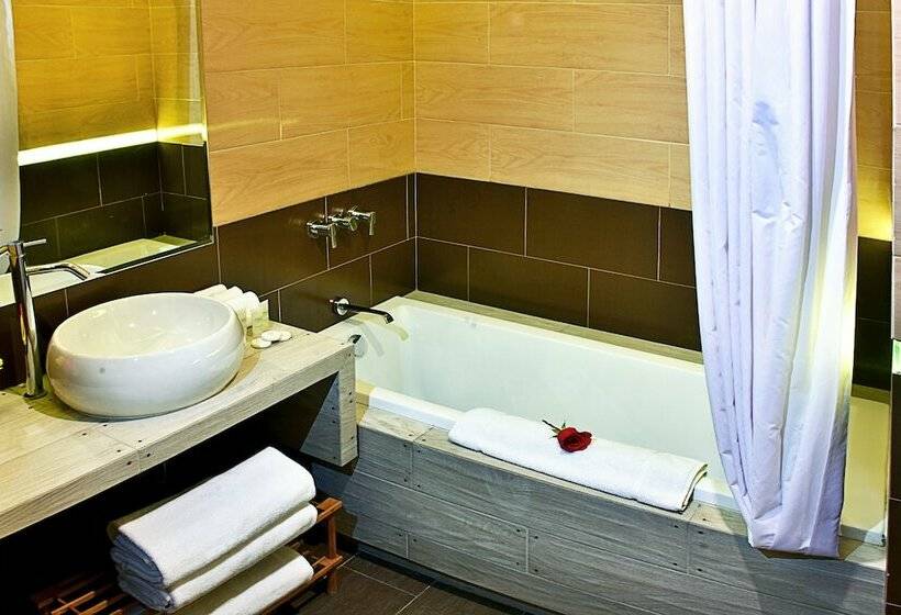 스탠다드 룸, Polo Corporativo San Sebastian