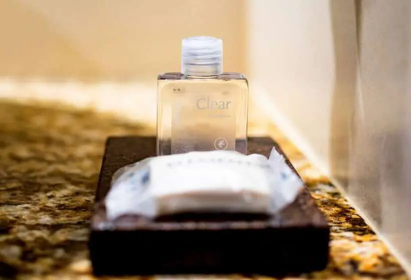 デラックスルーム, Rado Hotel   Santa María