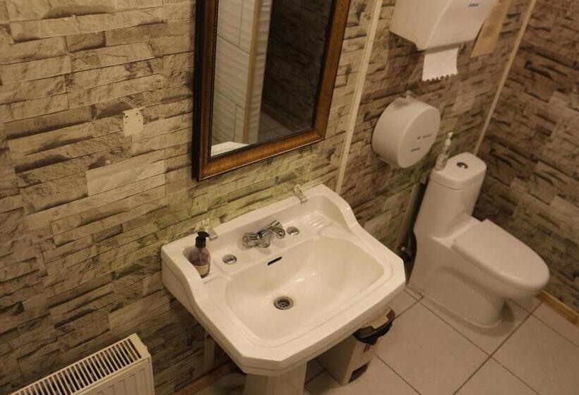 غرفة قياسية حمام مشترك, Aska Patagonia