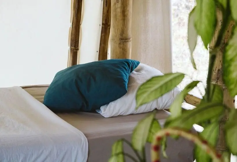 ルームシェアのワンベッド, Dreamsea Surf Resort Nicaragua