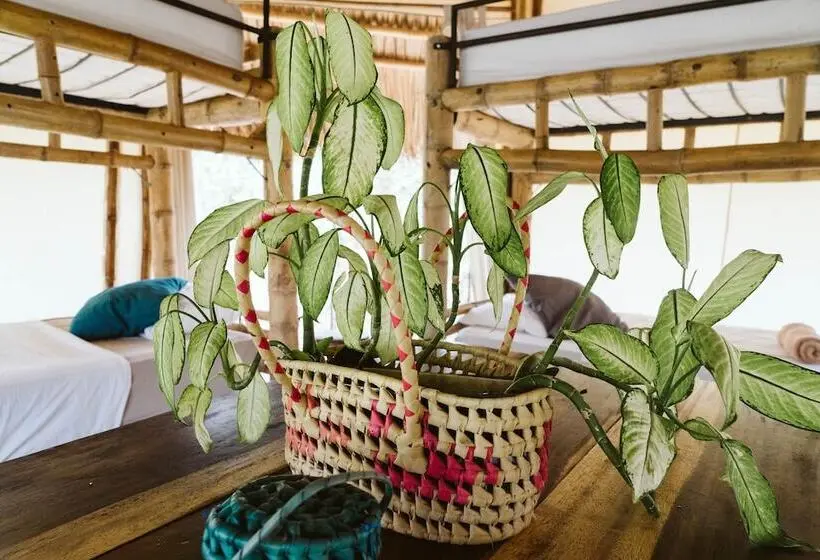 ルームシェアのワンベッド, Dreamsea Surf Resort Nicaragua