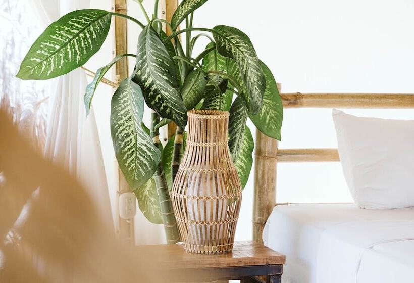 اتاق استاندارد, Dreamsea Surf Resort Nicaragua