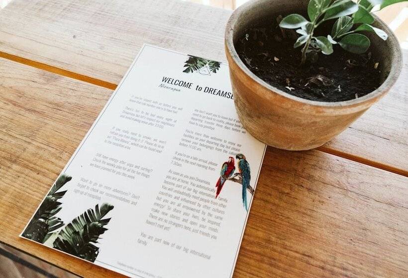 تختخواب در اتاق مشترک, Dreamsea Surf Resort Nicaragua