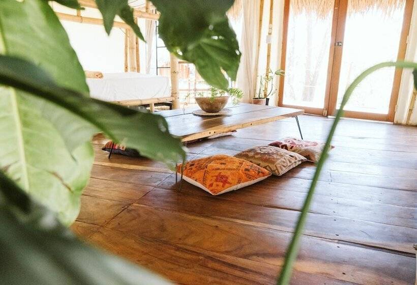 تختخواب در اتاق مشترک, Dreamsea Surf Resort Nicaragua