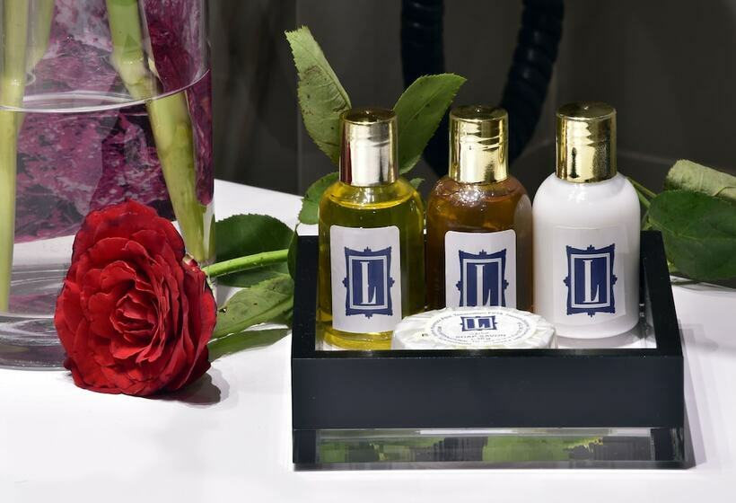 اتاق سوپریور, Lamaraz Hotels