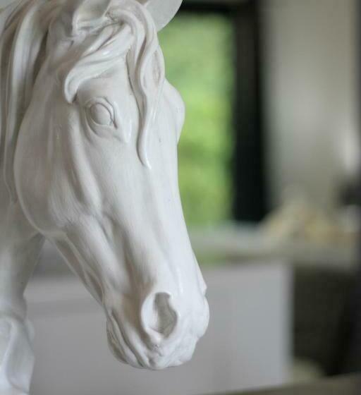 شقة ديلوكس غرفة واحدة, Show Pony Beach Resort And Suites