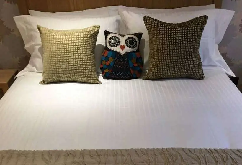 スタンダードルーム, 8 Owls B&b