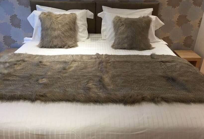 スタンダードルーム, 8 Owls B&b