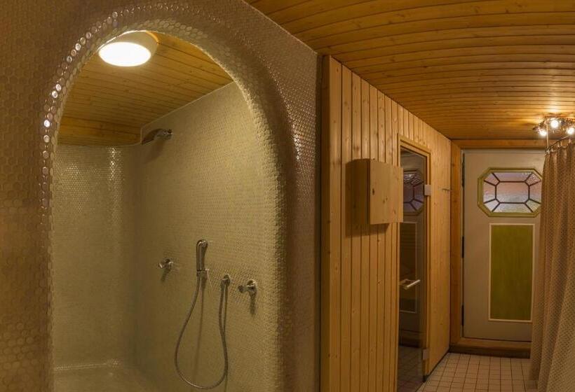 스탠다드 룸, Ehrenreich