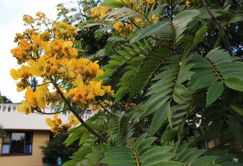 خانه 2 خوابه, Unique Bed And Breakfast