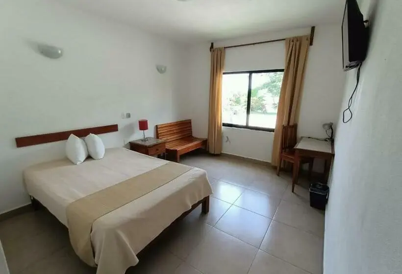 Economy-huone, Real Primaveras Campestre