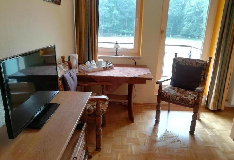标准间, Gästehaus Grunewald Bed & Breakfast