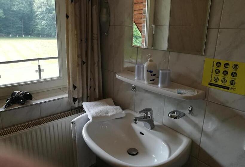 Номер Стандарт, Gästehaus Grunewald Bed & Breakfast