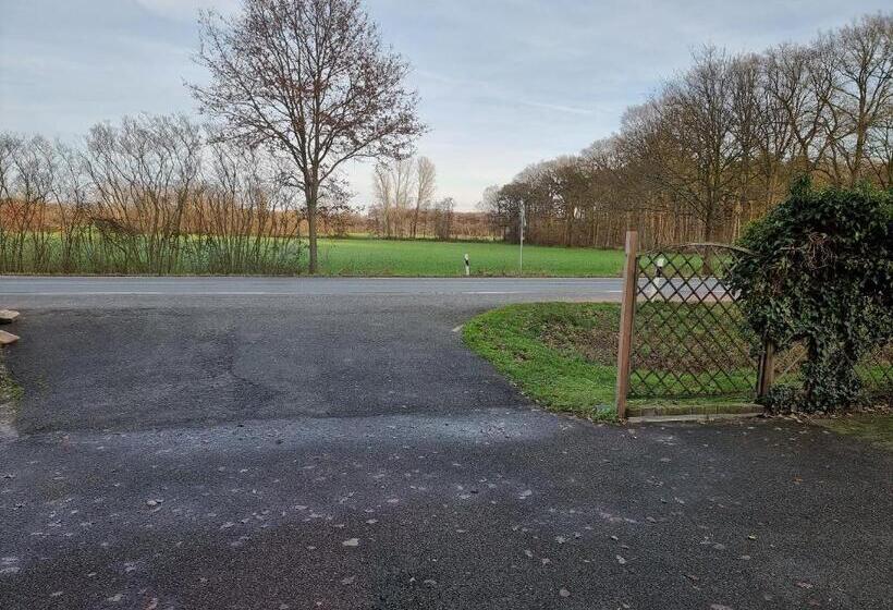 Номер Стандарт Индивидуальный, Gästehaus Grunewald Bed & Breakfast