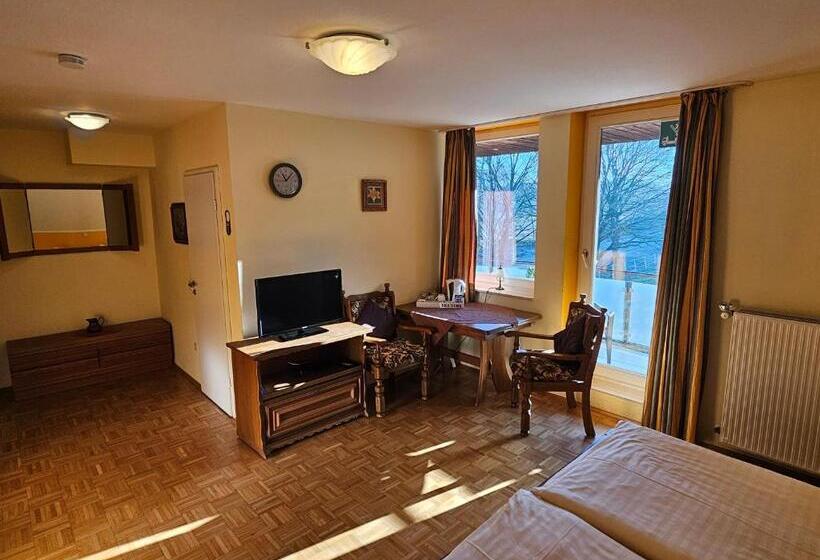 标准间, Gästehaus Grunewald Bed & Breakfast
