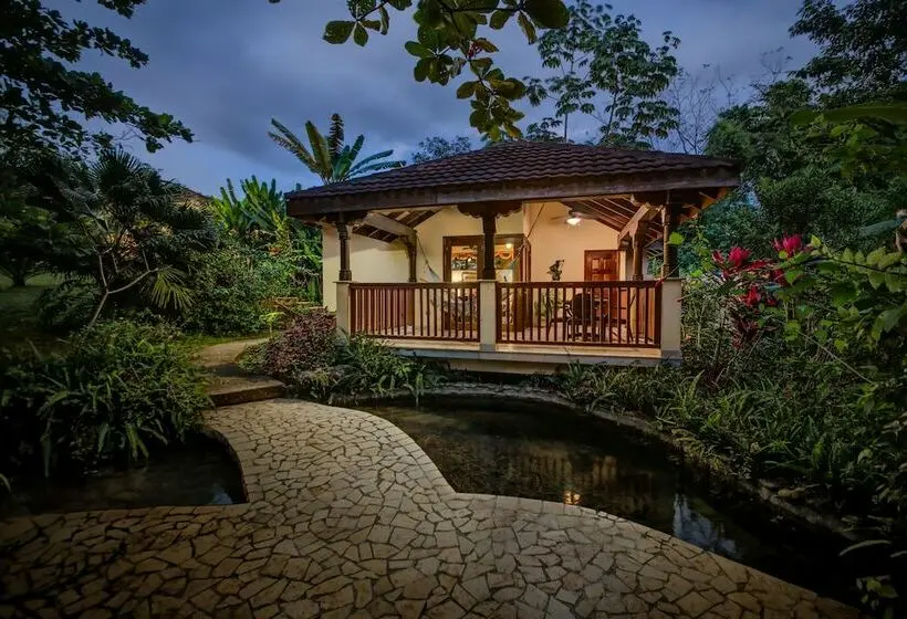 اتاق استاندارد, Sleeping Giant Rainforest Lodge