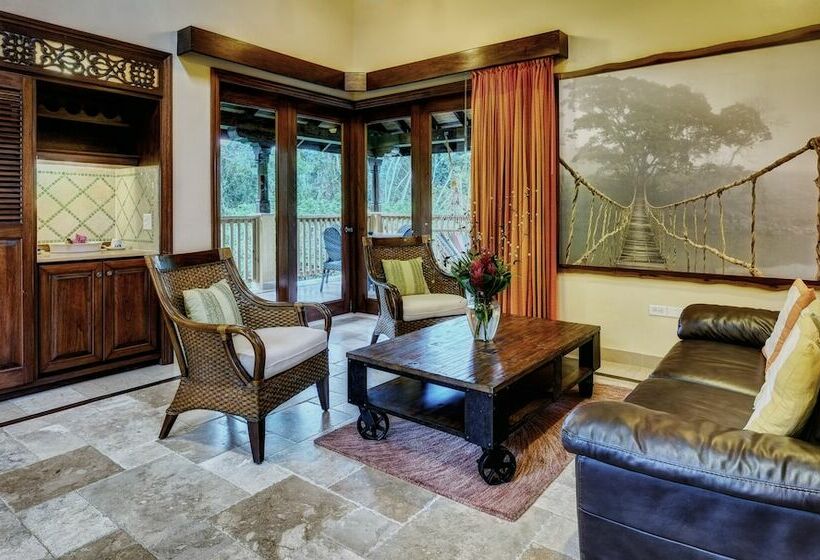 スタンダードルーム, Sleeping Giant Rainforest Lodge