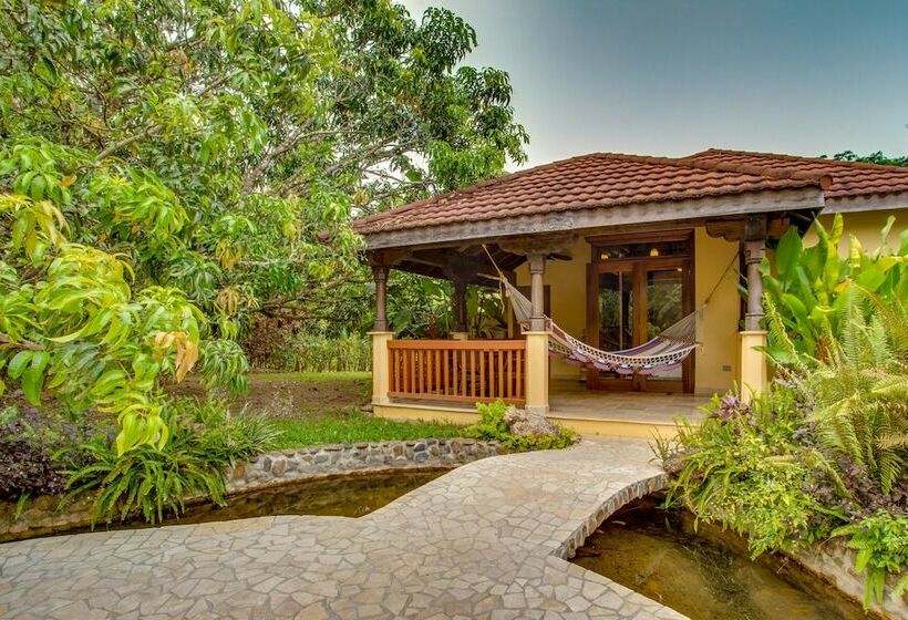 スタンダードルーム, Sleeping Giant Rainforest Lodge