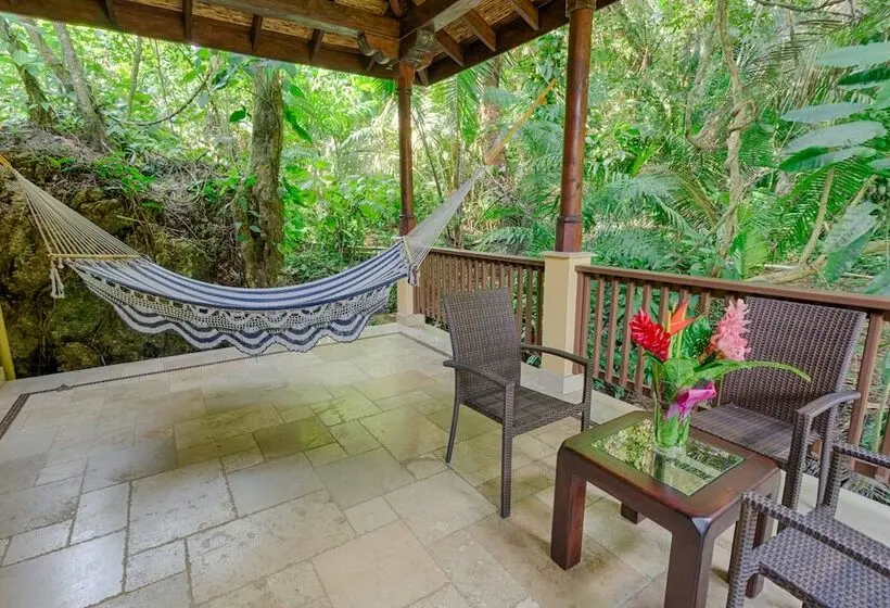 اتاق استاندارد, Sleeping Giant Rainforest Lodge
