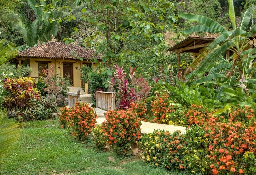 اتاق استاندارد, Sleeping Giant Rainforest Lodge