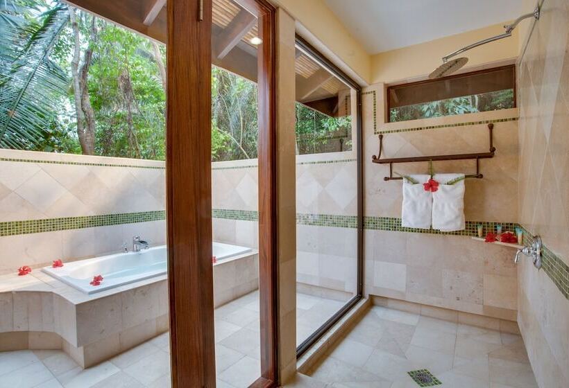 スタンダードルーム, Sleeping Giant Rainforest Lodge