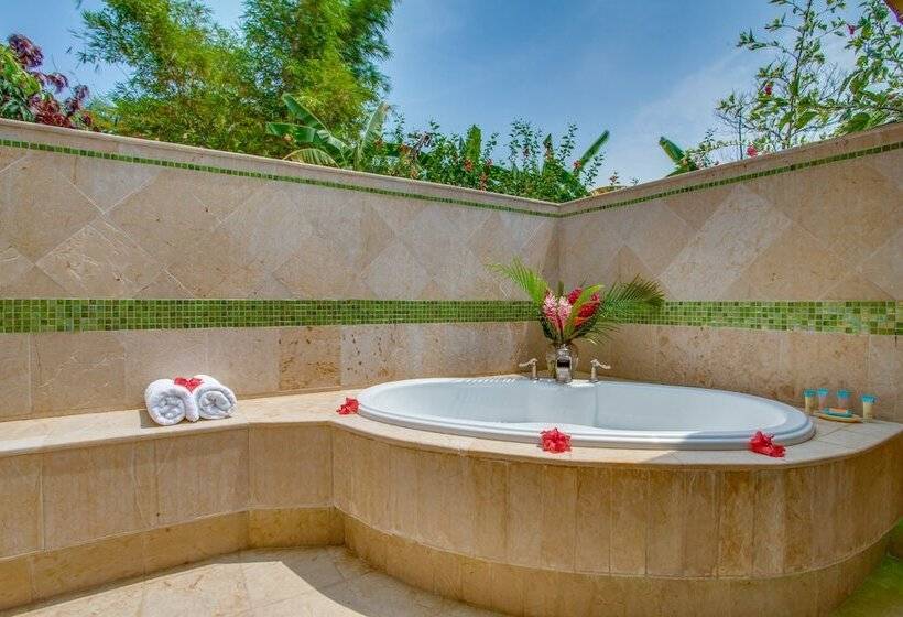 スタンダードルーム, Sleeping Giant Rainforest Lodge