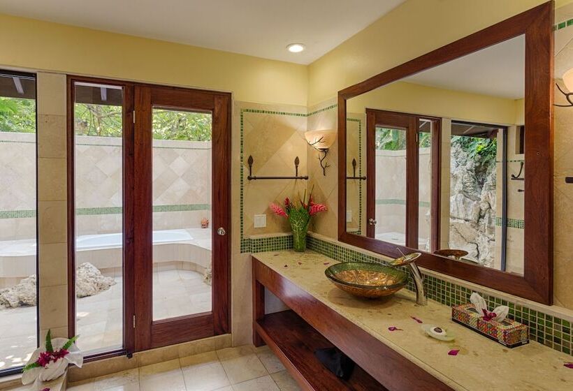 اتاق استاندارد, Sleeping Giant Rainforest Lodge