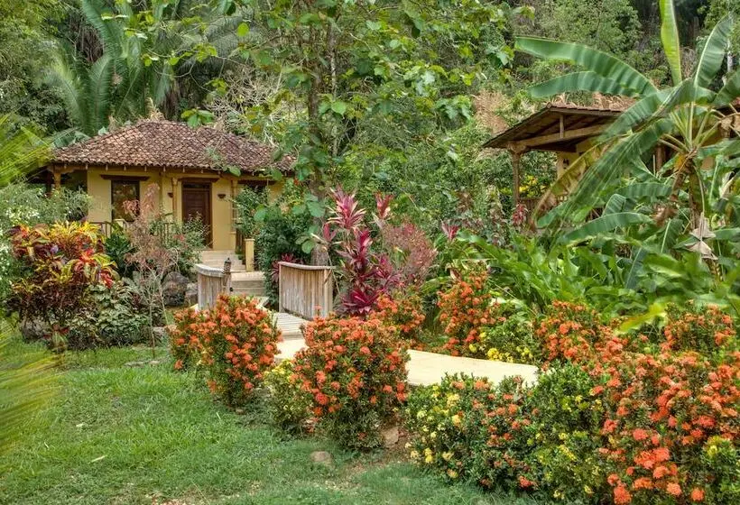 سوییت با چشم‌انداز کوه, Sleeping Giant Rainforest Lodge