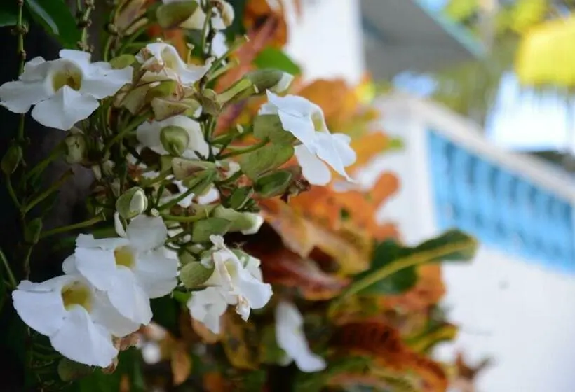 استودیو استاندارد با چشمانداز استخر, Villa Antonia 16