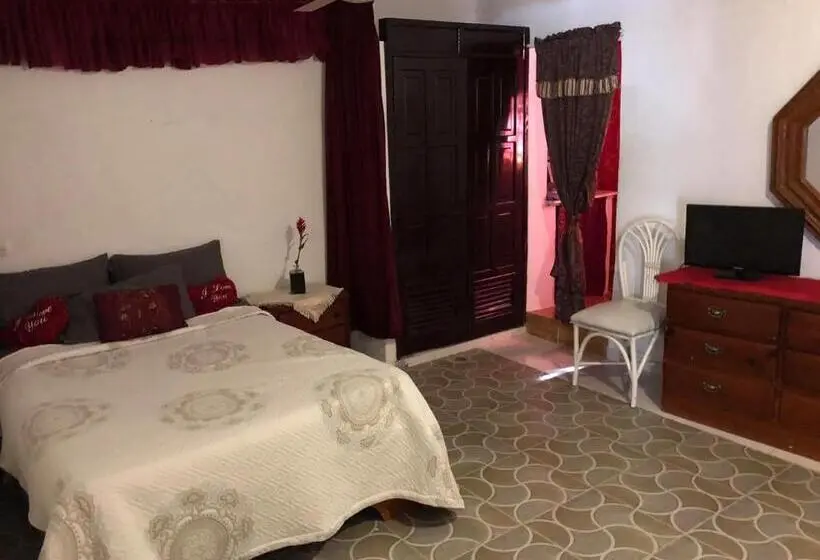 اتاق استاندارد با تخت بزرگ, Villa Antonia 16