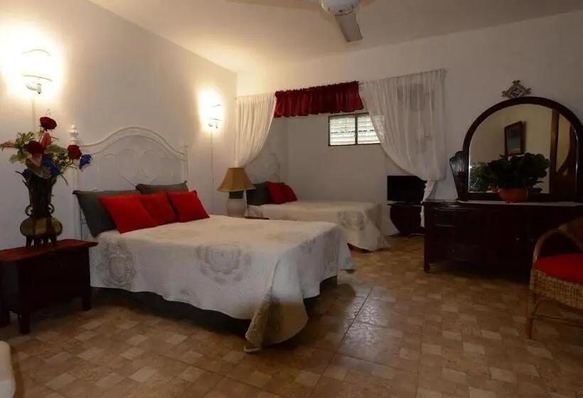 اتاق استاندارد چهار تخته, Villa Antonia 16